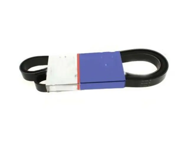 V-Ribbed Serpentine Belt - GM (12626222)