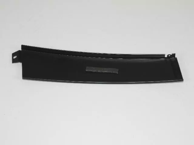 Rear Door Applique, Right - Mopar (4806308AB)