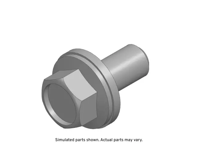 Fuel Injection Pump Bolt - GM (55506321)