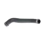 215034BA0A - Belts &amp; Cooling: Radiator Coolant Hose for Nissan: Rogue Image