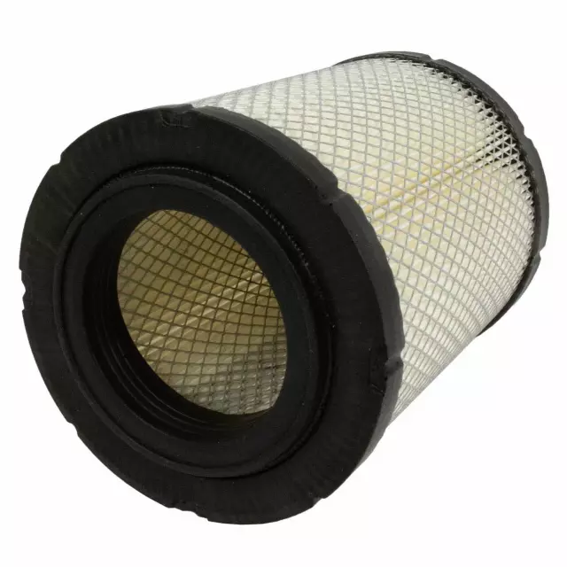 Element Assembly Air Cleaner - Ford (QFA-66)