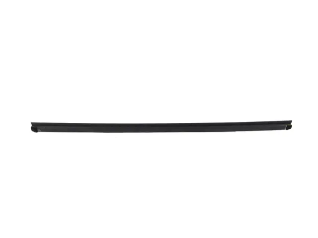 68285720AB - : Door Belt Inner Weatherstrip, Right for Mopar Image