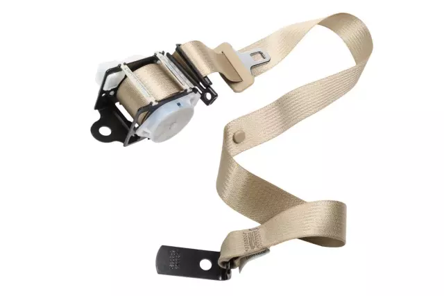 19257590 - Electrical: Outer Belt Assembly for Cadillac: CTS Image