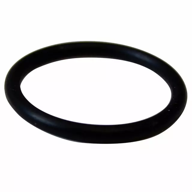 BC3Z8590F - : Lower Hose O-Ring for Ford: Bronco, Escape, Expedition, F-150, F-250 Super Duty, F-350 Super Duty, F-450 Super Duty, F-550 Super Duty, Maverick, Mustang | Lincoln: Corsair, Navigator Image