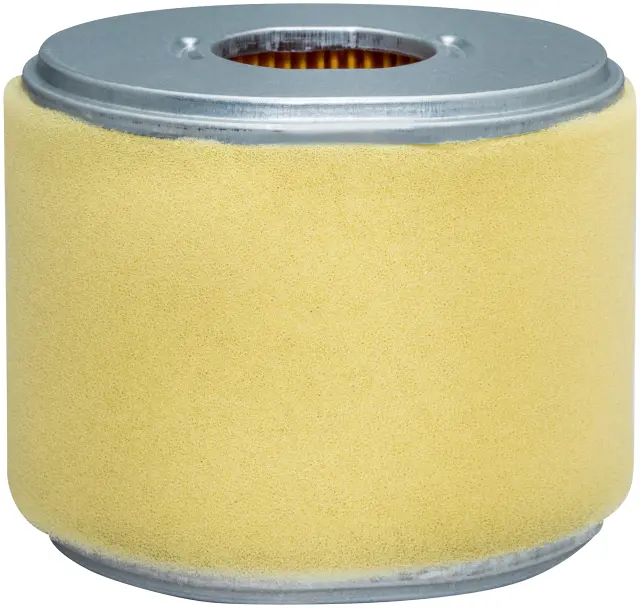 PA3957 - : Oval Air Element with Foam Wrap for Baldwin Image