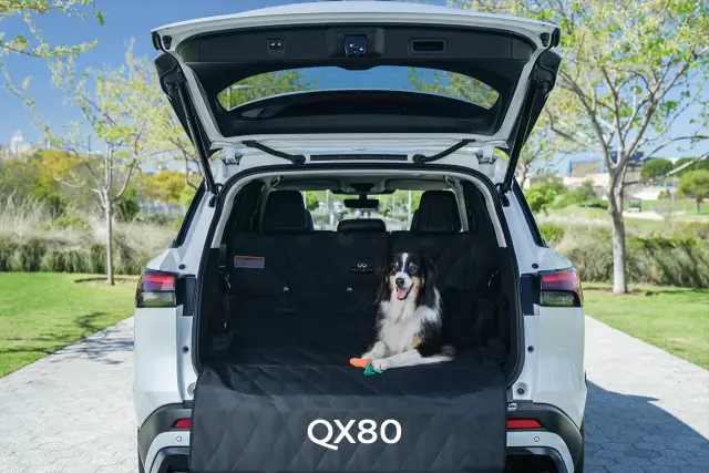 T99C37JA0P - : Pet Cargo Area Protector for Infiniti Image