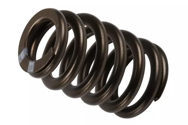 55498414 - : Valve Spring for Buick: Envision Image