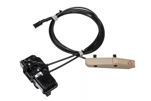 Light Cashmere Front Driver Side Door Latch - GM (22922933)