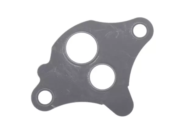 96495356 - Emission System: EGR Valve Gasket for Chevrolet: Aveo, Aveo5 Image