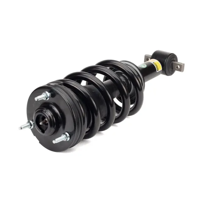 SK2954 - : Arnott Suspension Strut and Coil Spring Assembly for Arnott Image
