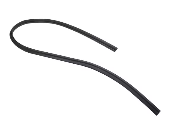 15908043 - Body: Weatherstrip for GM Image