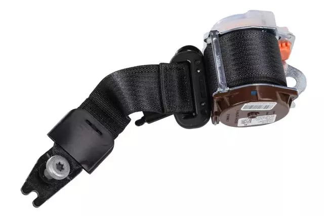 19355962 - Electrical: Outer Belt Assembly for Chevrolet: Malibu Image