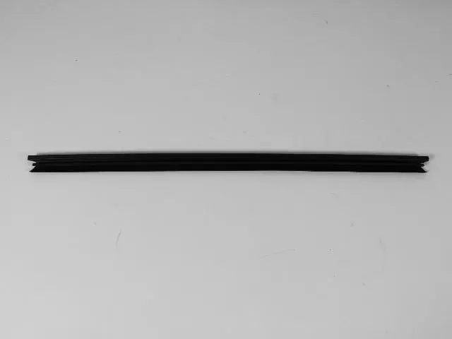 55276897AF - Doors, Door Mirrors and Related Parts: Door Belt Weatherstrip for Mopar Image image