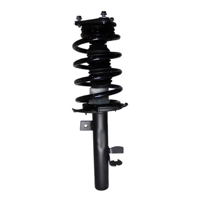 810083 - : PRT 810083 Suspension Strut and Coil Spring Assembly for PRT PERFORMANCE RIDE Image