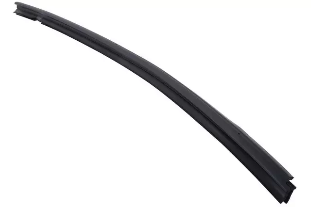Passenger Side Rear Door Window Inner Sealing Strip - GM (20920180)