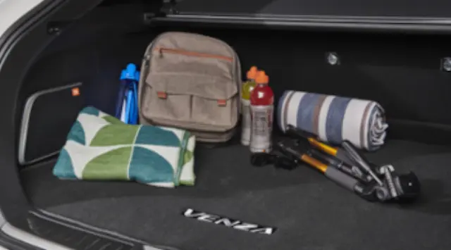 PT2064823650 - : Carpet Cargo Mat, Black for Toyota: Venza Image