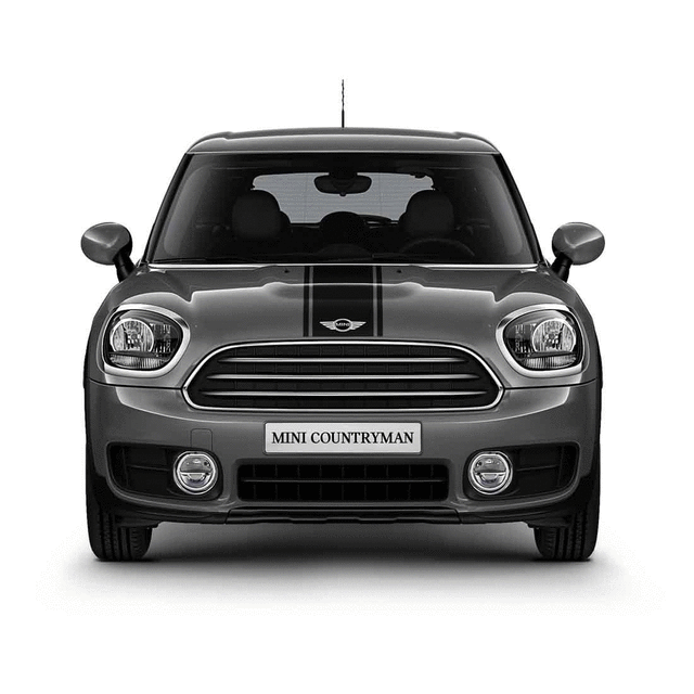 51142414407 - : Sport Stripes - Black - Roof for Mini Image