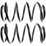 80919 - : Coil Spring Set for Moog Image