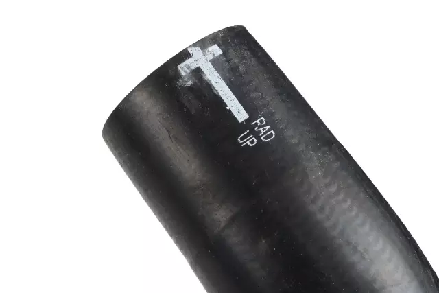 19258620 - Cooling System: Upper Hose for Chevrolet: Express 1500, Express 2500, Express 3500, Express 4500 | GMC: Savana 1500, Savana 2500, Savana 3500, Savana 4500 Image