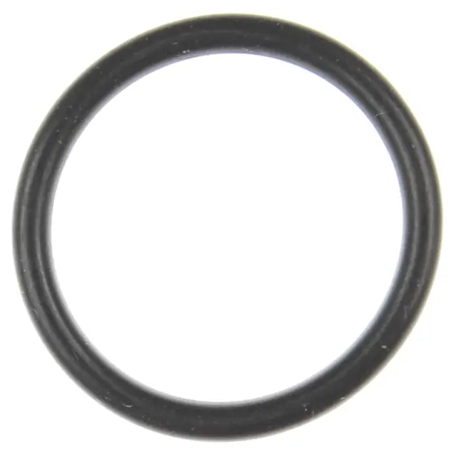 G32944 - Air Intake &amp; Fuel Delivery: Fuel Injection Throttle Body O-Ring for Mahle Image