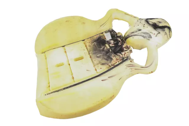 84106162 - Body: Seat Back Pad for Chevrolet: Corvette Image