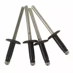 W702133S417 - Body: Lamp Bezel Rivet for Ford: EcoSport Image