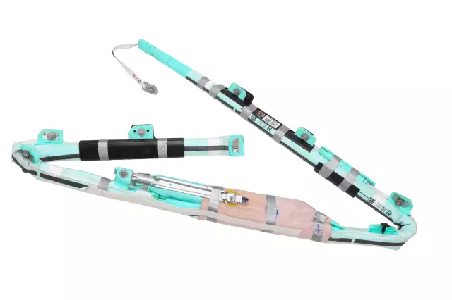 42669223 - : Part# 42669223 F Airbag for Chevrolet: Bolt EV Image