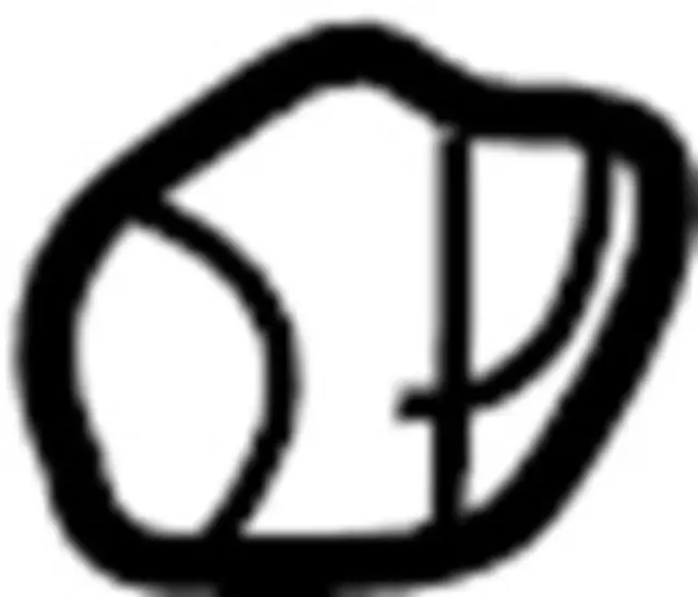 165800322 - : Bumper-Lid for Infiniti Image