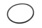 24293598 - : 1-3-5-6-7 Clutch Piston Seal for ACDelco Image