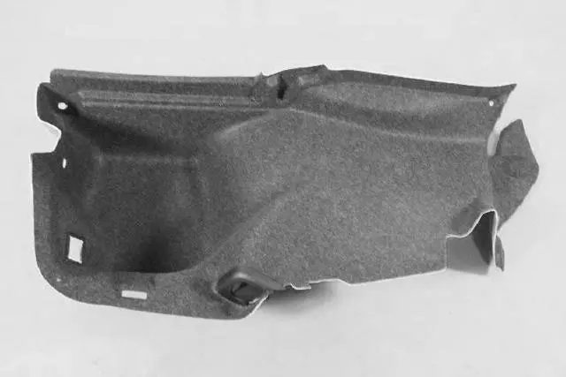 55315126AJ - Body: Side Trim for Dodge: Charger Image