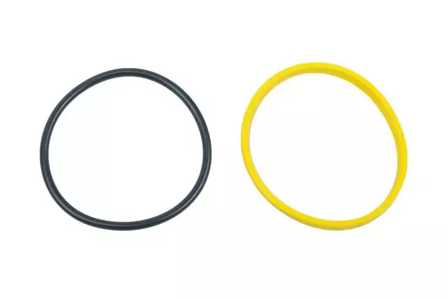 22815196 - Fuel System: Cross Over Pipe Seal for GM Image