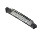 68288039AB - Frame, Bumper and Fascia: Lower Grille for Mopar Image image