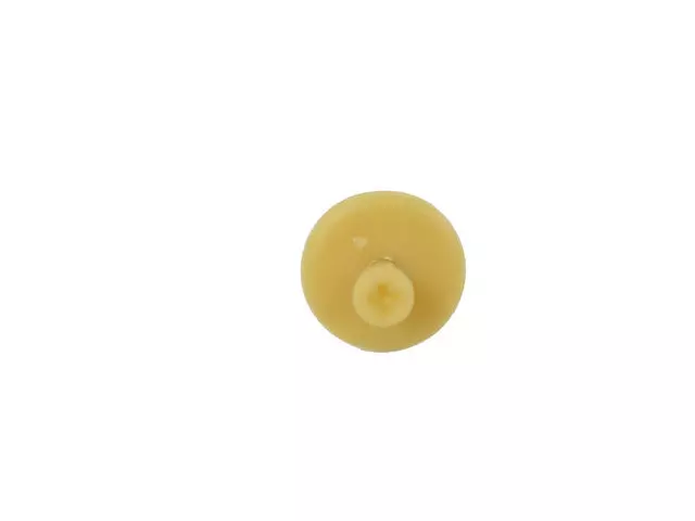 Shield Retainer - Mopar (68268735AA)
