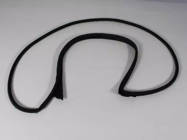 5065991AE - : Front Door Mounted Weatherstrip, Left for Chrysler: 300 | Dodge: Charger, Magnum Image