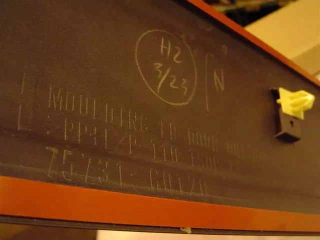 1998-2002 Toyota Land Cruiser - Body Side Molding - Toyota (75731-60120-H2)