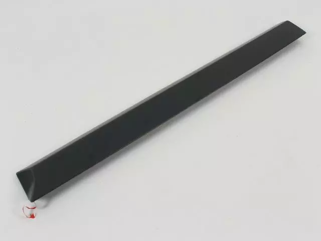 Molding - Mopar (5KB25TZZAC)