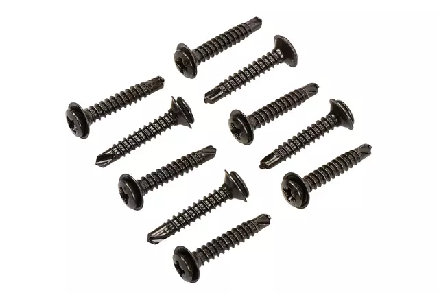 20365258 - Body: Finish Panel Screw for Pontiac: Sunfire Image image