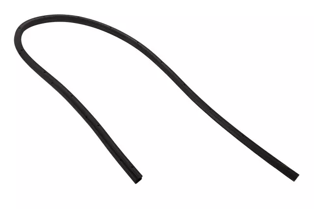 Rear Weather-Strip - GM (23269836)