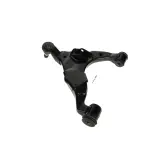 9490313 - : Suspension Control Arm and Ball Joint Assembly for BRUTE POWER Image