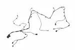 84878405 - : Front Object Alarm Sensor Wiring Harness for GM Image