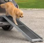 68752455AA - : WeatherTech Pet Ramp, sold by Competition Specialties for Chrysler: Pacifica, Voyager | Dodge: Durango, Hornet, Ram 1500, Ram 2500, Ram 3500 | Jeep: Compass, Gladiator, Grand Cherokee, Grand Cherokee L, Grand Wagoneer, Grand Wagoneer L, Wagoneer, Wagoneer L, Wrangler | Ram: 1500, 1500 Classic, 2500, 3500 Image