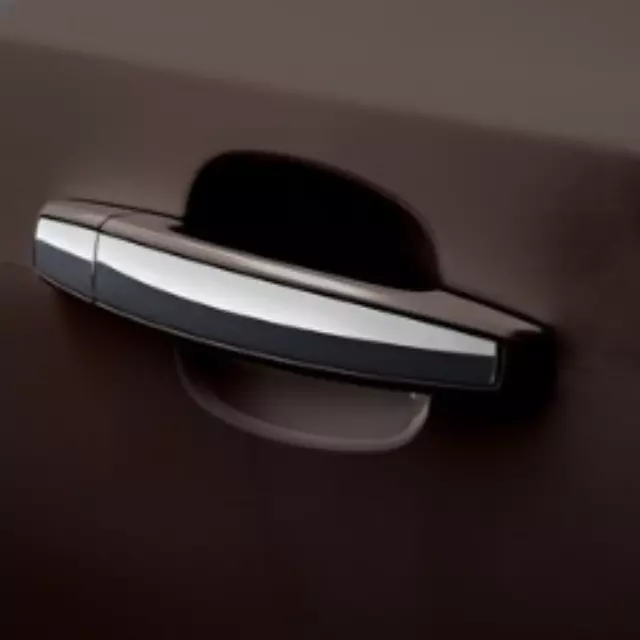 Door Handles, W\\/Chrome - GM (20919351)