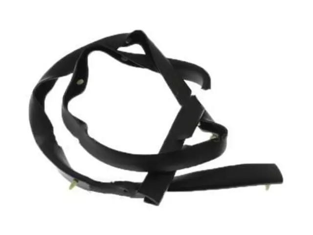 4L3Z18101C36AA - Body: Lower Seal Strip for Ford: F-150 Image