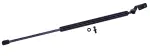 611633 - : Liftgate Lift Support for Tuff Support Image