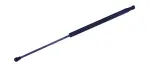 613774 - : Hood Lift Support for Tuff Support Image