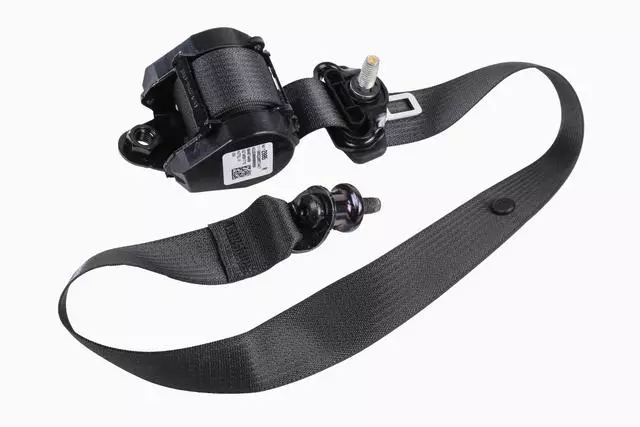 19355569 - Electrical: Outer Belt Assembly for GM Image