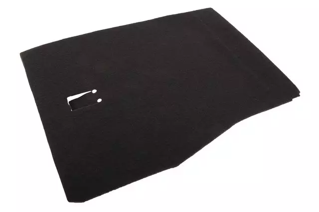 Jet Black Rear Driver Side Seat Back Filler Panel - GM (23128953)