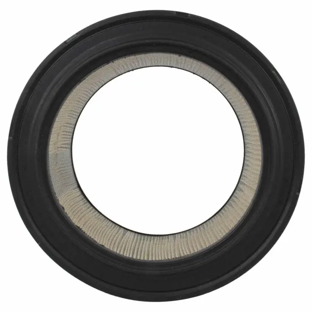 FA1057 - Air &amp; Fuel Delivery: Motorcraft™ Engine Air Filter for Ford: E-250 Econoline Club Wagon, E-350 Econoline, E-350 Econoline Club Wagon, F-250, F-350, F-Super Duty Image