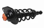 810069 - : Loaded Strut Assy for GSP Image