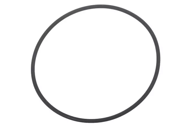 55566428 - : Rear Transfer Case Output Shaft Flange Seal for GM Image